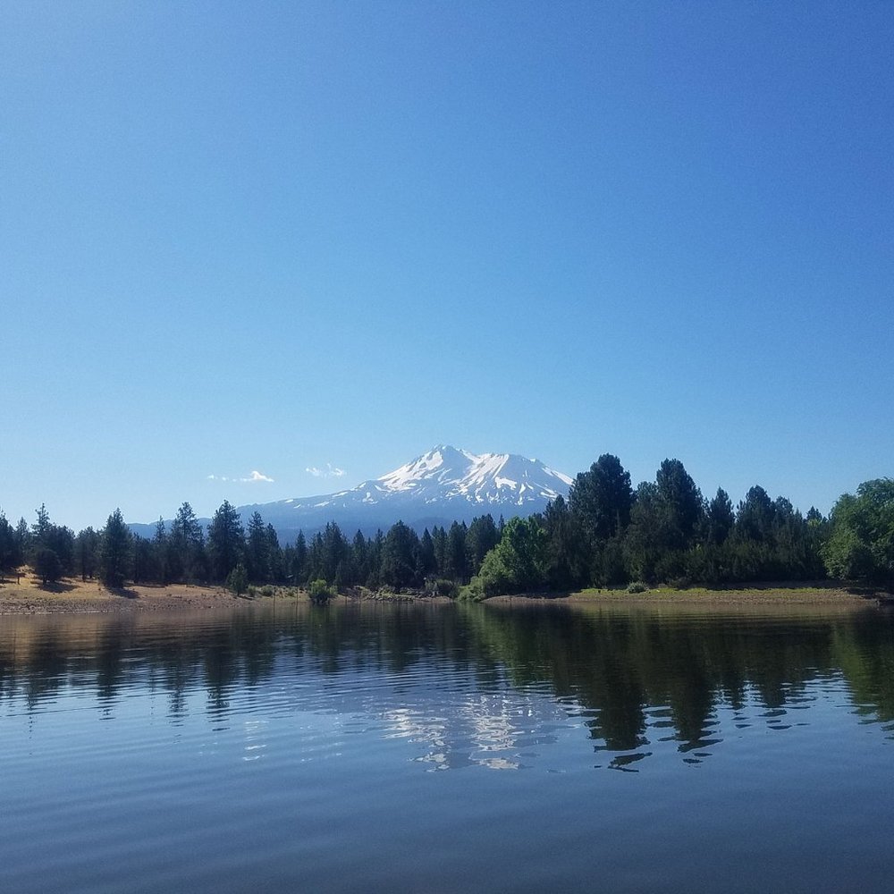 Meet your Posher, Leigh Ann